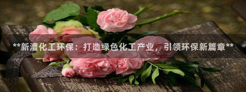 亿万先生mr01官网 - 亿万先生手机版入：**新澧化工环保：打造绿色化工产业，引领环保新篇章**