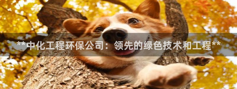 亿万先生手机版客户端下载安装：**中化工程环保公司：领先的绿色技术和工程**