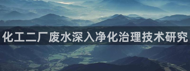 亿万先生007客服：化工二厂废水深入净化治理技术研究