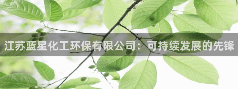 亿万集团有限公司：江苏蓝星化工环保有限公司：可持续发展的先锋