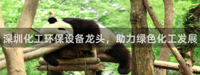 亿万钱包app下载：深圳化工环保设备龙头，助力绿色化工发展