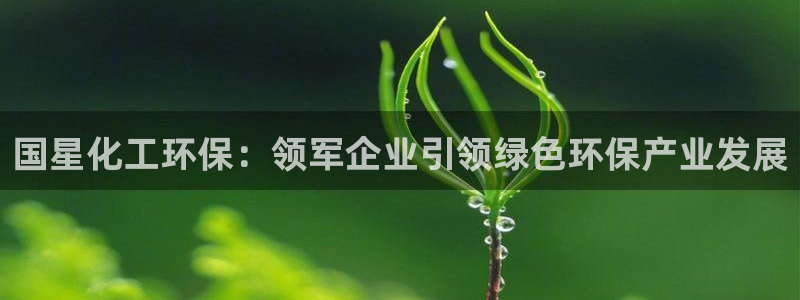 亿万官网字幕组官网下载：国星化工环保：领军企业引领绿色环保产业发展