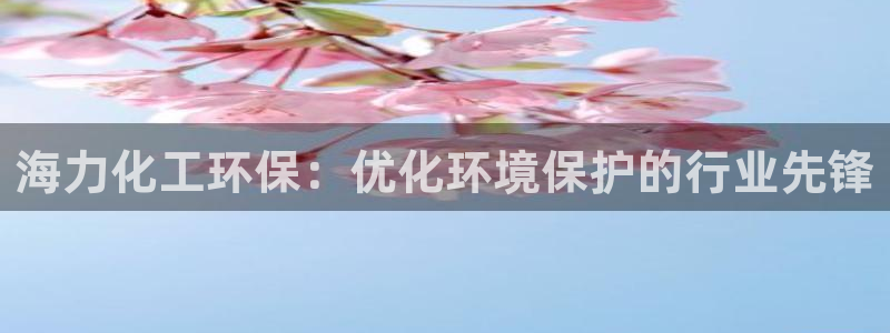 亿万先生合并网址是什么：海力化工环保：优化环境保护的行业先锋