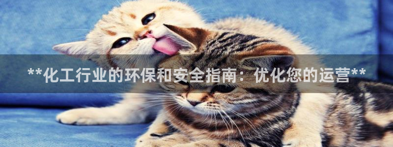 亿万同人字幕组微博的微博：**化工行业的环保和安全指南：优化您的运营**