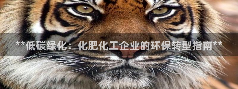亿万先生游戏平台网址：**低碳绿化：化肥化工企业的环保转型指南**