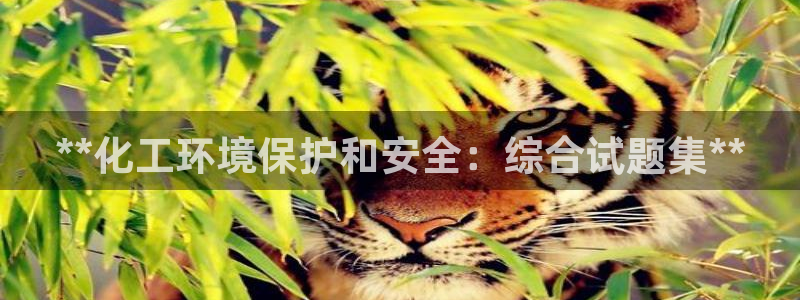 亿万番外：**化工环境保护和安全：综合试题集**