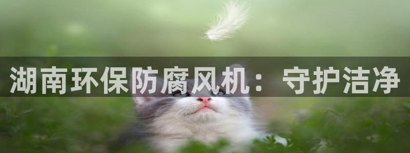 亿万手游平台官网：湖南环保防腐风机：守护洁净
