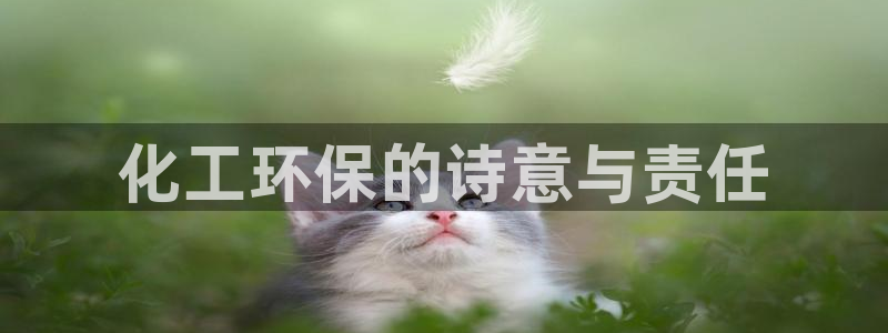 亿万网络科技有限公司ceo：化工环保的诗意与责任