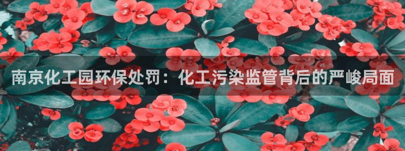亿万网友在线实时为你解答：南京化工园环保处罚：化工污染监管背后的严峻局面