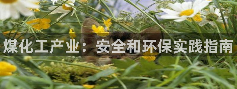 mr8001亿万先生在线存款：煤化工产业：安全和环保实践指南