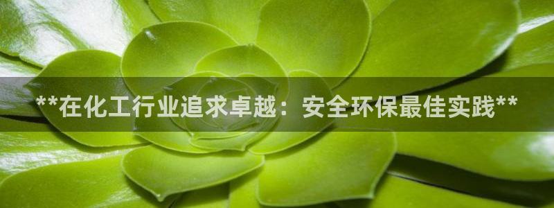 亿万首富手游：**在化工行业追求卓越：安全环保最佳实践**
