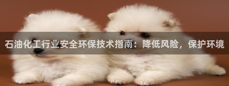 亿万先生官方网站：石油化工行业安全环保技术指南：降低风险，保护环境