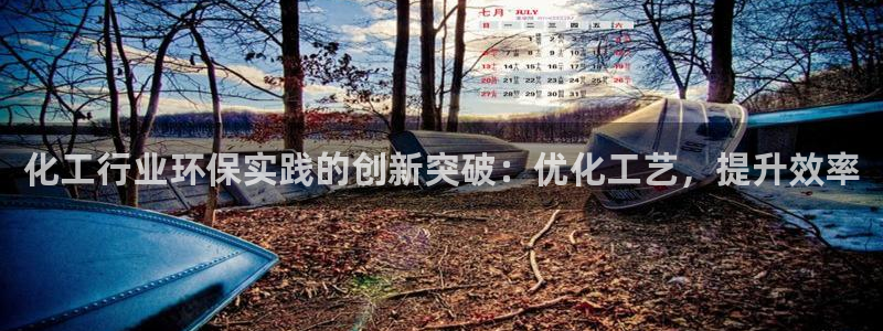 亿万的亿：化工行业环保实践的创新突破：优化工艺，提升效率
