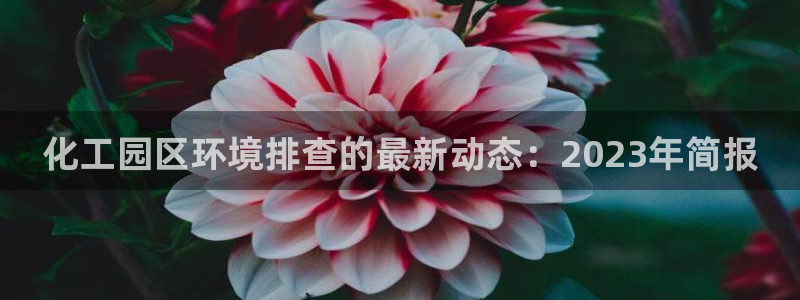 亿万先生客服联系方式查询：化工园区环境排查的最新动态：2023年简报