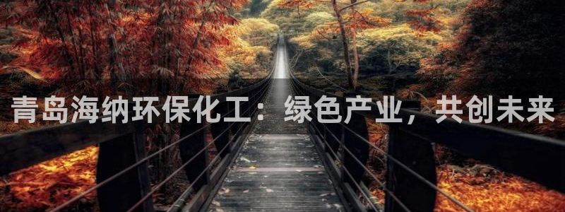 亿万先生现在的网址谁知道是真的：青岛海纳环保化工：绿色产业，共创未来