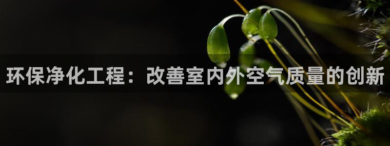 亿万手游官网首页：环保净化工程：改善室内外空气质量的创新