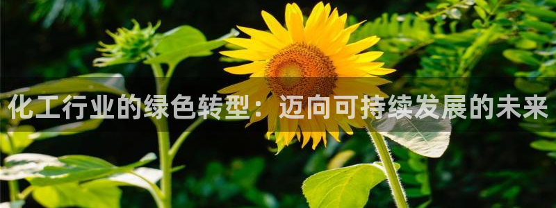 亿万先生合并网址：化工行业的绿色转型：迈向可持续发展的未来