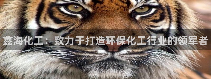 亿万购平台最新消息：鑫海化工：致力于打造环保化工行业的领军者