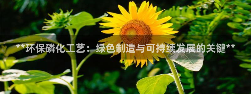亿万手游官网首页：**环保磷化工艺：绿色制造与可持续发展的关键**