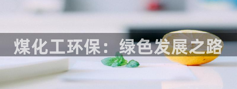 亿万同人字幕组的个人主页：煤化工环保：绿色发展之路