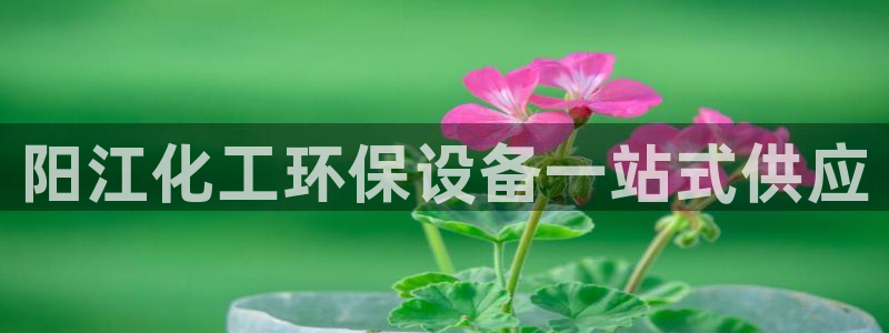 亿万先生是男是女：阳江化工环保设备一站式供应