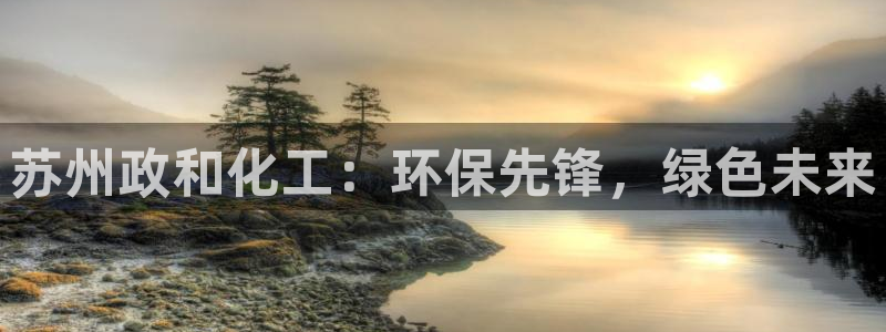 亿万番外：苏州政和化工：环保先锋，绿色未来