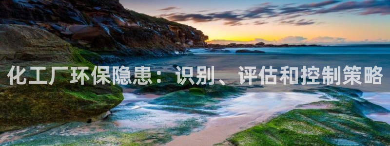 亿万同人字幕组的个人主页：化工厂环保隐患：识别、评估和控制策略