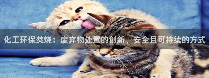 亿万手游官网：化工环保焚烧：废弃物处置的创新、安全且可持续的方式