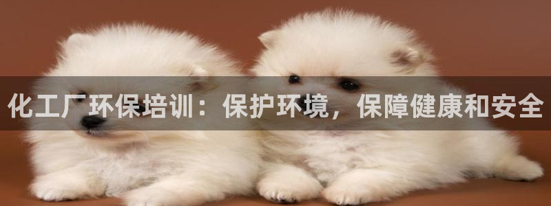 官方网站下载亿万人生：化工厂环保培训：保护环境，保障健康和安全