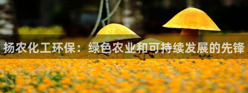 亿万钱包app下载：扬农化工环保：绿色农业和可持续发展的先锋