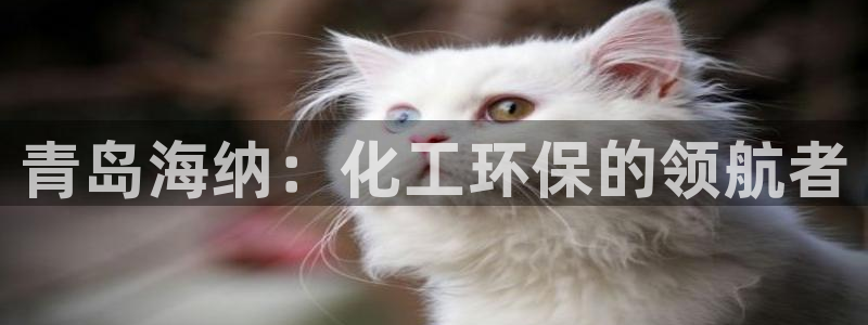 亿万啥意思：青岛海纳：化工环保的领航者
