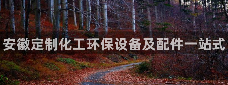 电影亿万：安徽定制化工环保设备及配件一站式