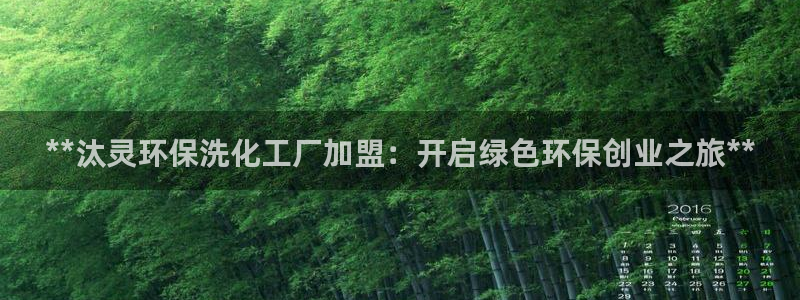 亿万首富游戏破解版无限钻石：**汰灵环保洗化工厂加盟：开启绿色环保创业之旅**