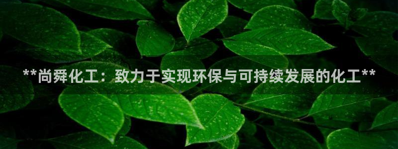 亿万下载第三季：**尚舜化工：致力于实现环保与可持续发展的化工**