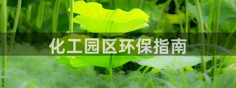 亿万先生游戏平台网址：化工园区环保指南