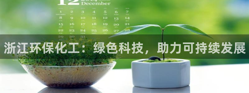 mr8001亿万先生：浙江环保化工：绿色科技，助力可持续发展
