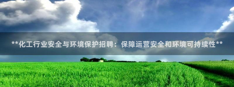 亿万先生换网址了吗知乎：**化工行业安全与环境保护招聘：保障运营安全和环境可持续性**