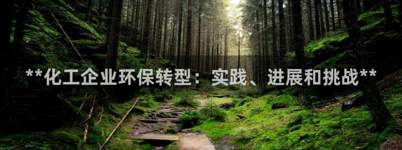 亿万网友在线实时为您解答问题：**化工企业环保转型：实践、进展和挑战**