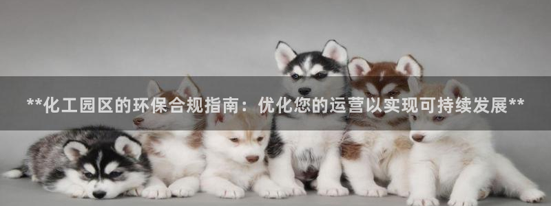 亿万第一季百科：**化工园区的环保合规指南：优化您的运营以实现可持续发展**
