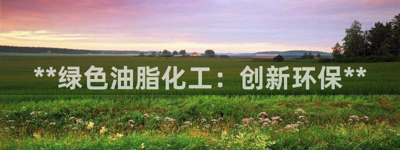 亿万先生是男是女：**绿色油脂化工：创新环保**