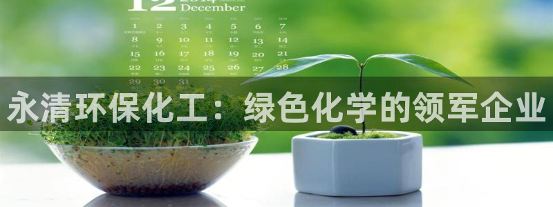 亿万先生手机网页：永清环保化工：绿色化学的领军企业