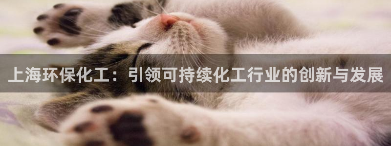 亿万先生官方客服电话：上海环保化工：引领可持续化工行业的创新与发展