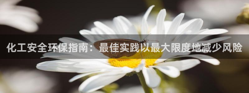 亿万下载徐家汇朋友圈说说：化工安全环保指南：最佳实践以最大限度地减少风险