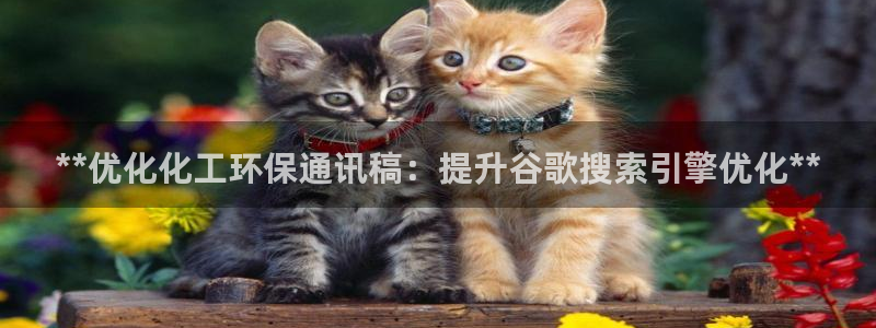 亿万手游平台官网入口：**优化化工环保通讯稿：提升谷歌搜索引擎优化**