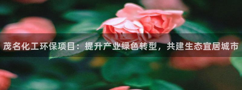 亿万先生换网址了吗知乎：茂名化工环保项目：提升产业绿色转型，共建生态宜居城市