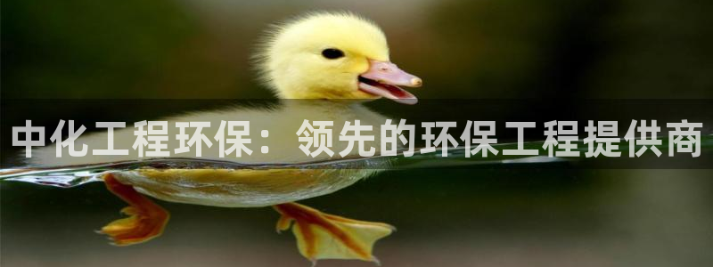 亿万网络科技有限公司ceo：中化工程环保：领先的环保工程提供商