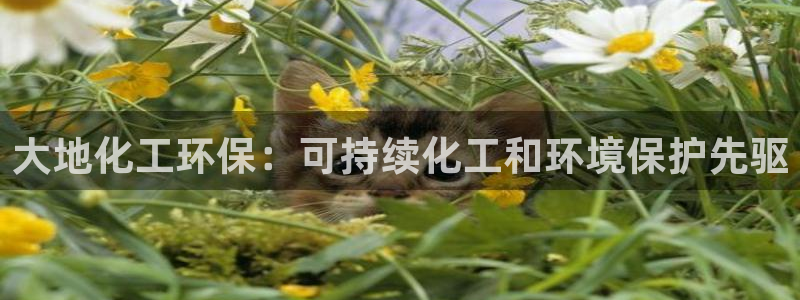 亿万先生客服联系方式是什么：大地化工环保：可持续化工和环境保护先驱