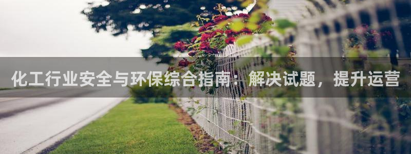 亿万网友在线解答：化工行业安全与环保综合指南：解决试题，提升运营