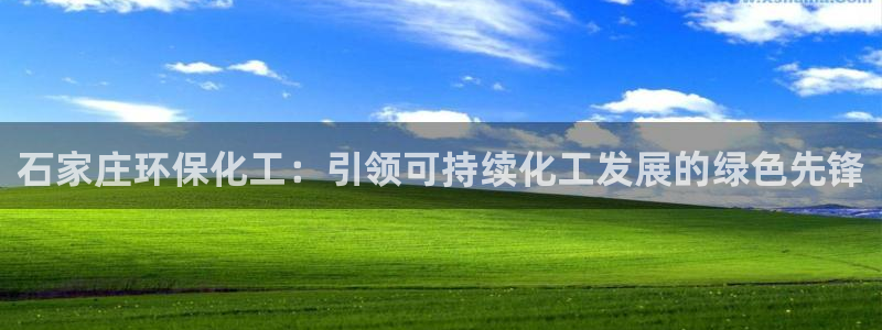 亿万先生现在的网址谁知道是真的：石家庄环保化工：引领可持续化工发展的绿色先锋
