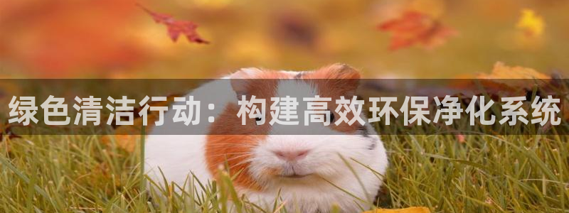 亿万先生007网页登录不了：绿色清洁行动：构建高效环保净化系统